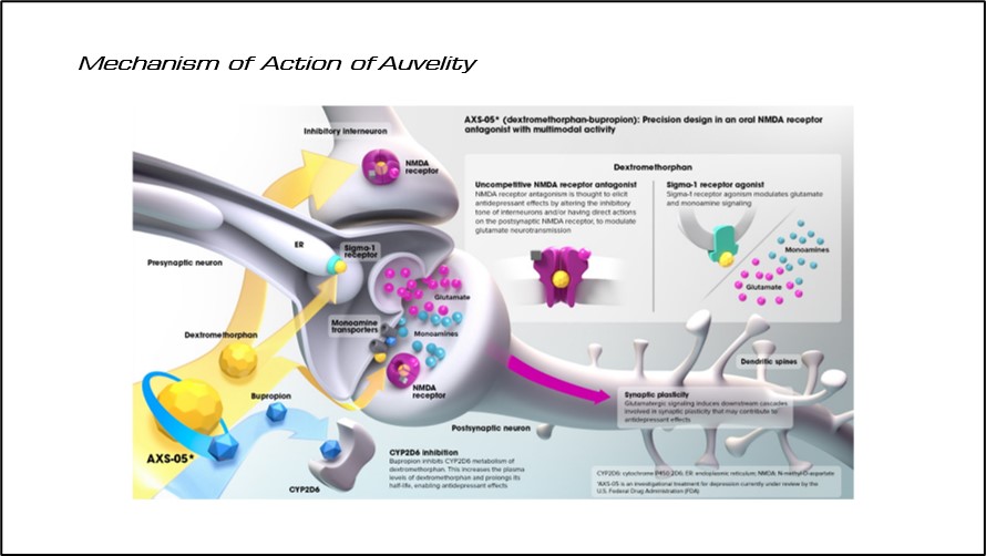 Mechanism of Action of Auvelity