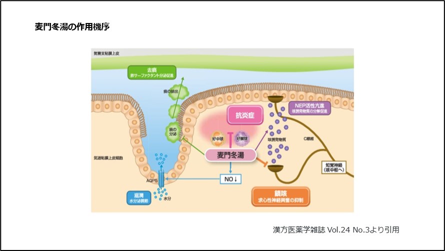 麦門冬湯の作用機序