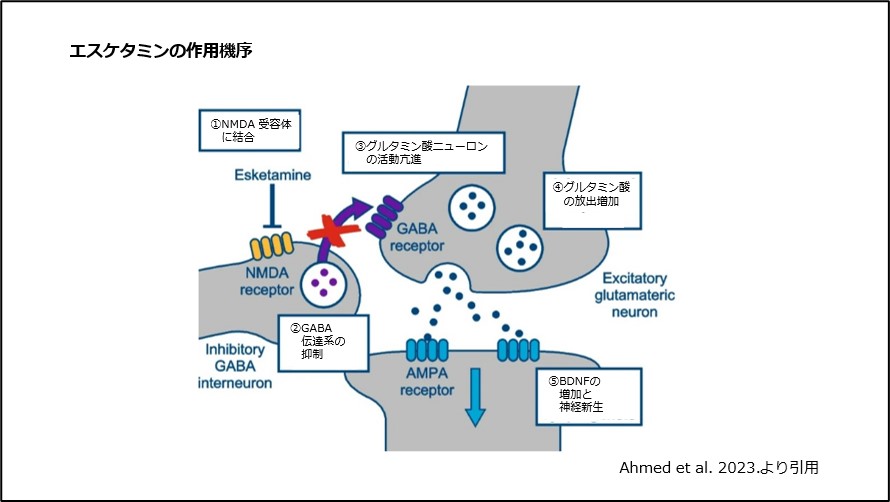 エスケタミンの作用機序