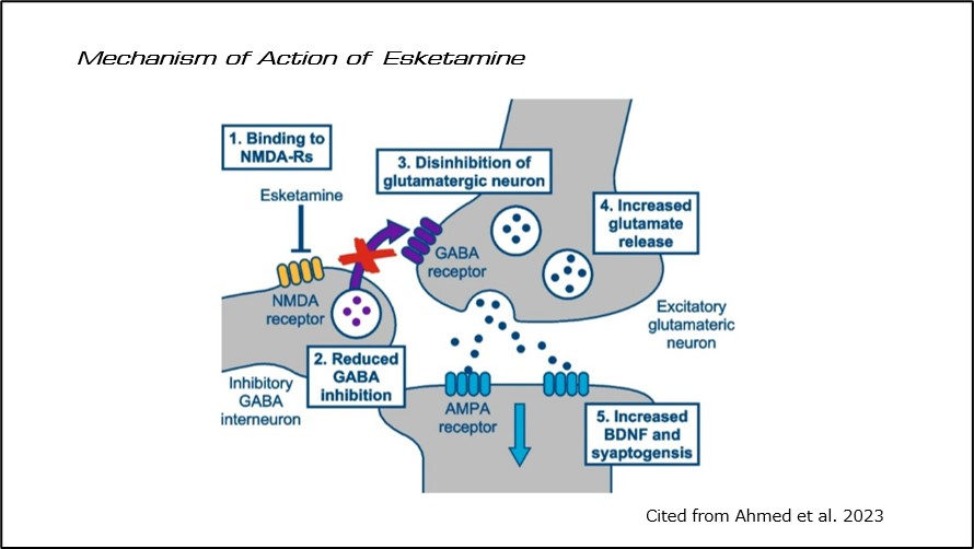 Mechanism of Action of Esketamine