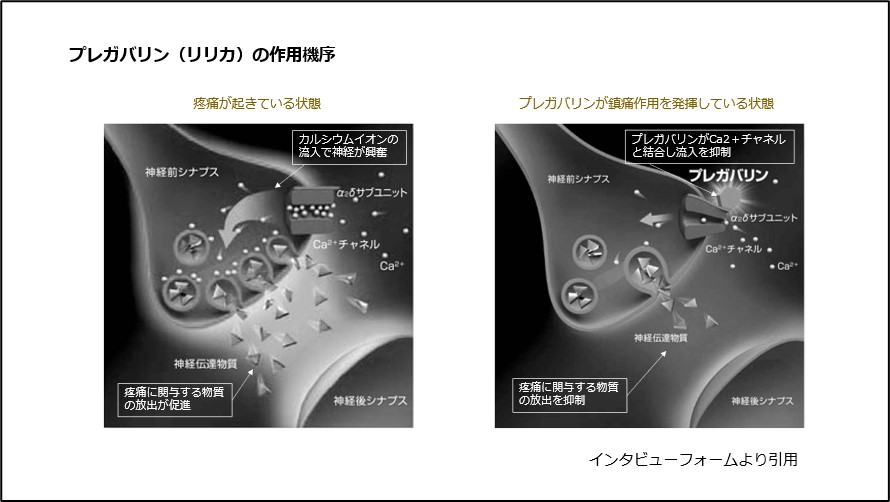 プレガバリン（リリカ）の作用機序