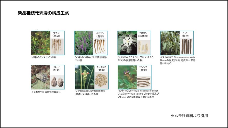 柴胡桂枝乾姜湯の構成生薬