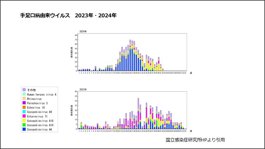 手足口病由来ウイルス　2023年・2024年