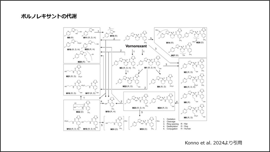 ボルノレキサントの代謝