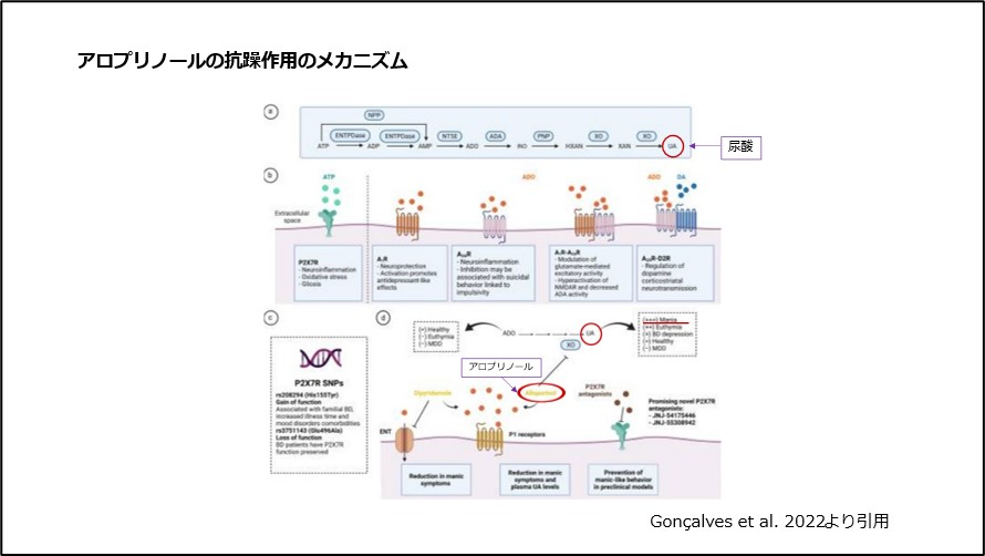 アロプリノールの抗躁作用のメカニズム