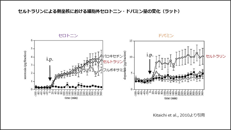 セルトラリンによる側坐核における細胞外セロトニン・ドパミン量の変化（ラット）