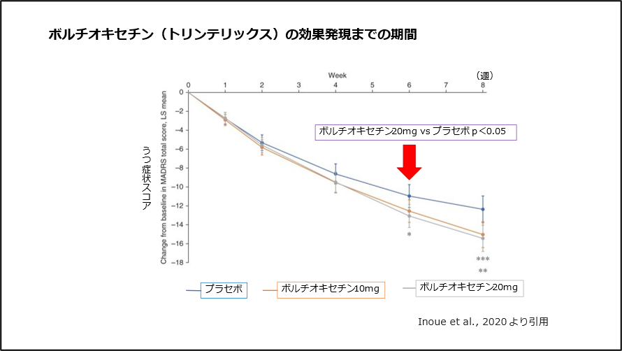 トリンテリックスの効果発現までの時間