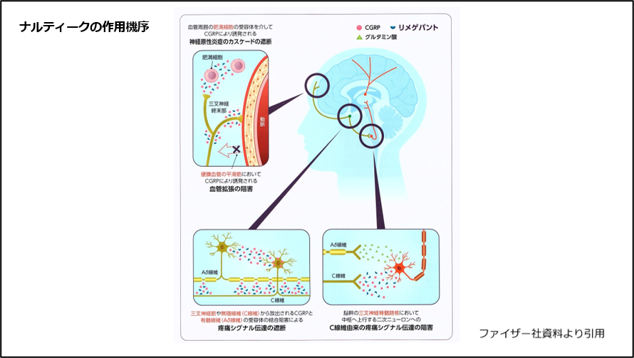 ナルティーク　作用機序