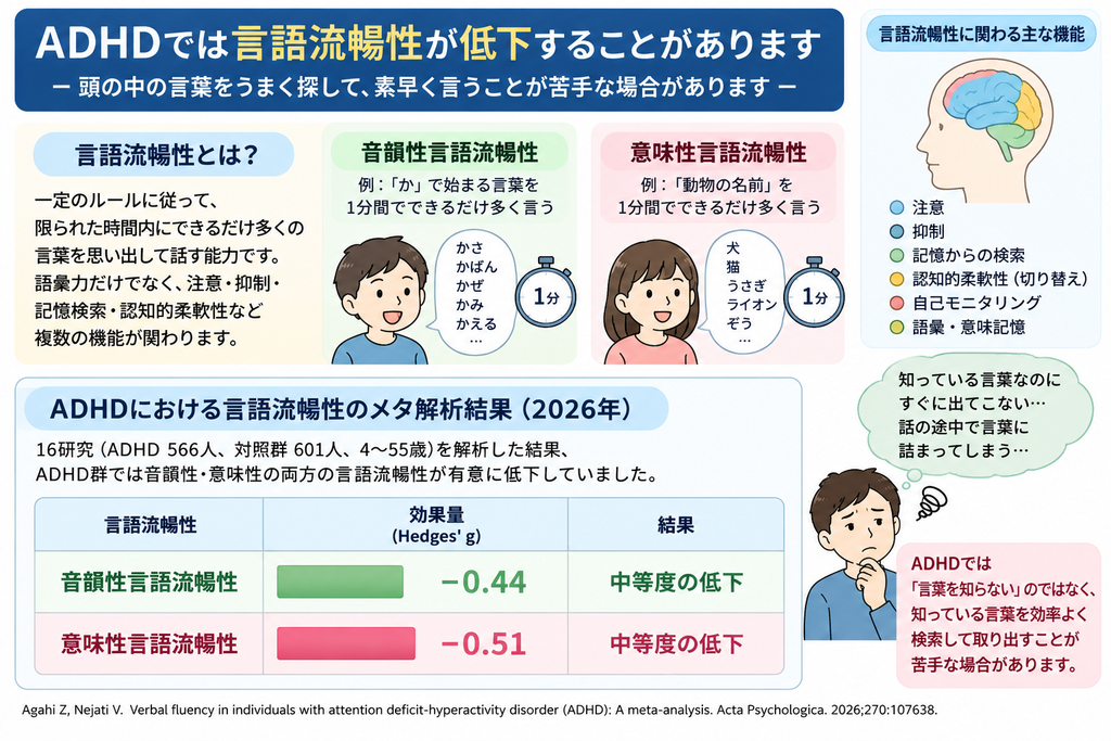 ADHDの言語流暢性低下