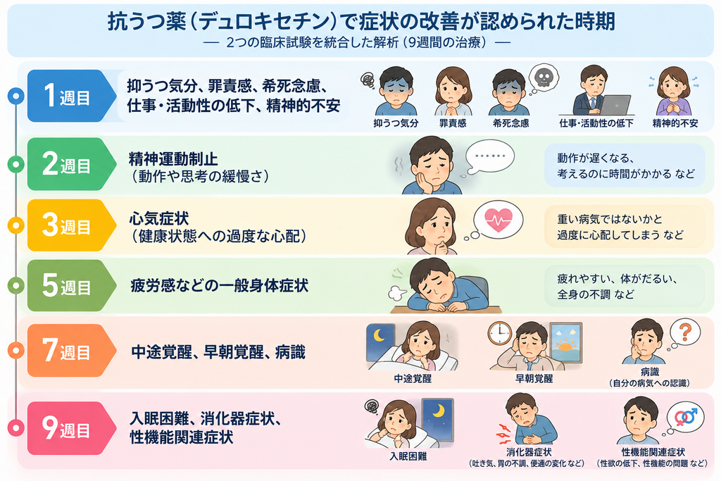 抗うつ薬（デュロキセチン）でうつ病の症状の回復が見られた時期